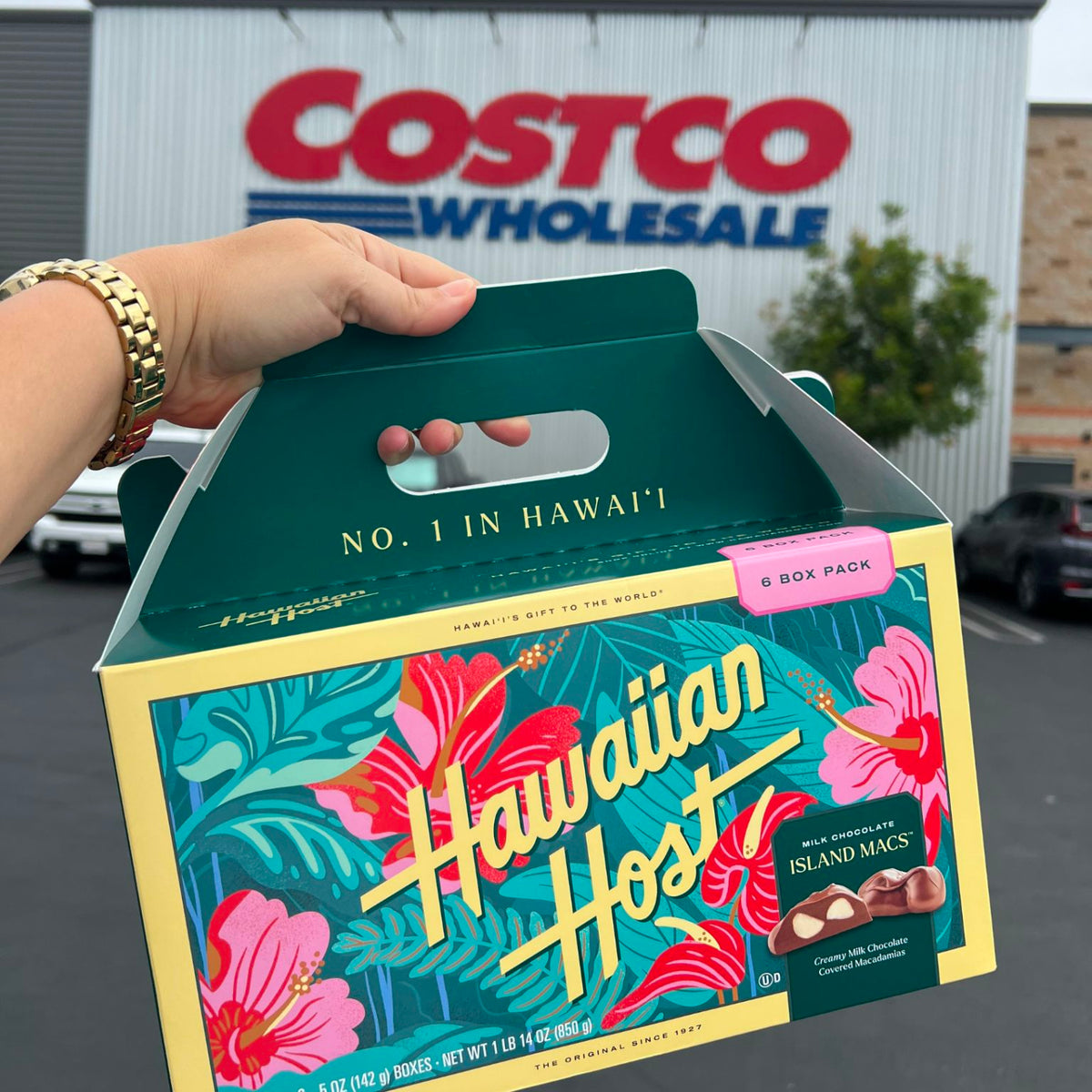 Island Mac Hibiscus 6 Pack in Costco LA