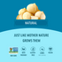 Flavored Macadamias - Unsalted Small Bag Gallery Thumbnail Image